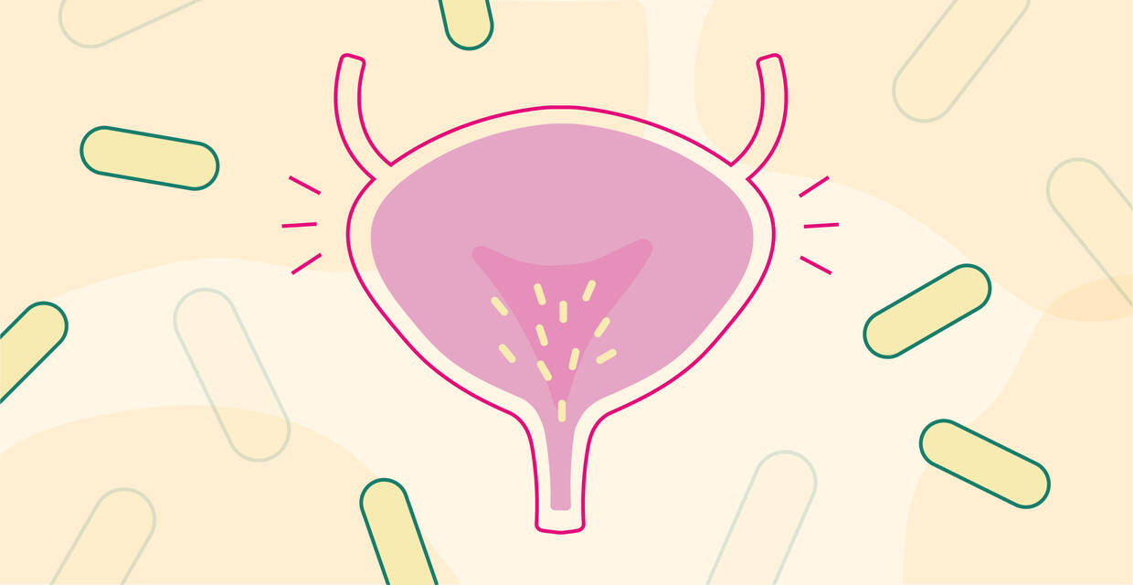 Toddler UTIs How To Recognize, Treat And Prevent Urinary, 58 OFF